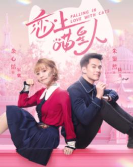 春雨直播app